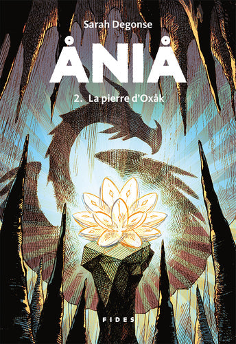 ANIA T2 : La pierre d'Oxak
